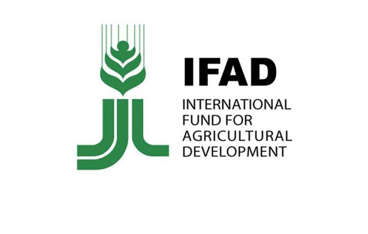 International Fund For Agricultural Development